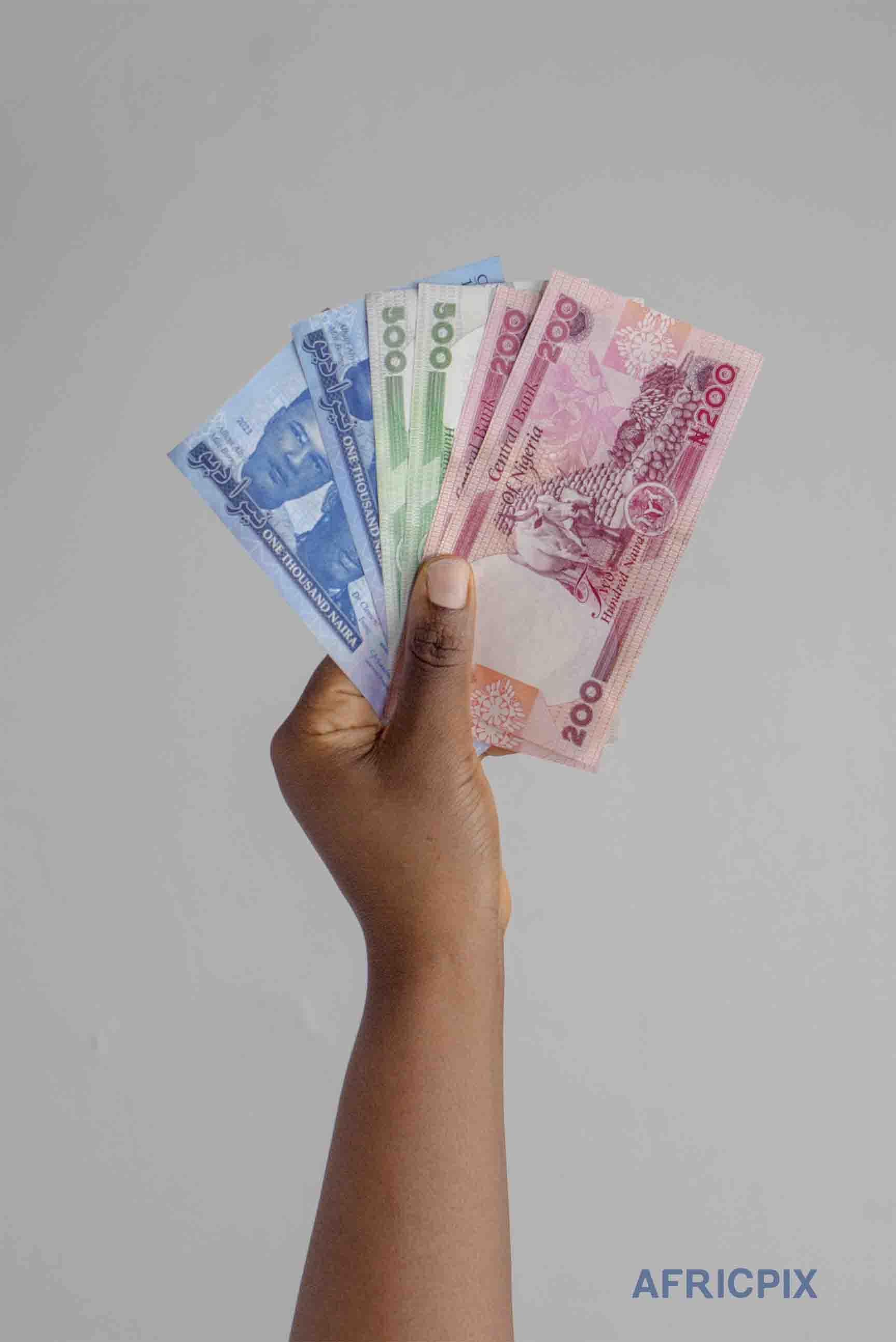 Hand Holding Money Naira